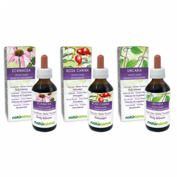 Routine Immunitario (Echinacea + Rosa canina + Uncaria) 3 x 100 ml – Naturalma AP5-Pack 172-defaultCombination